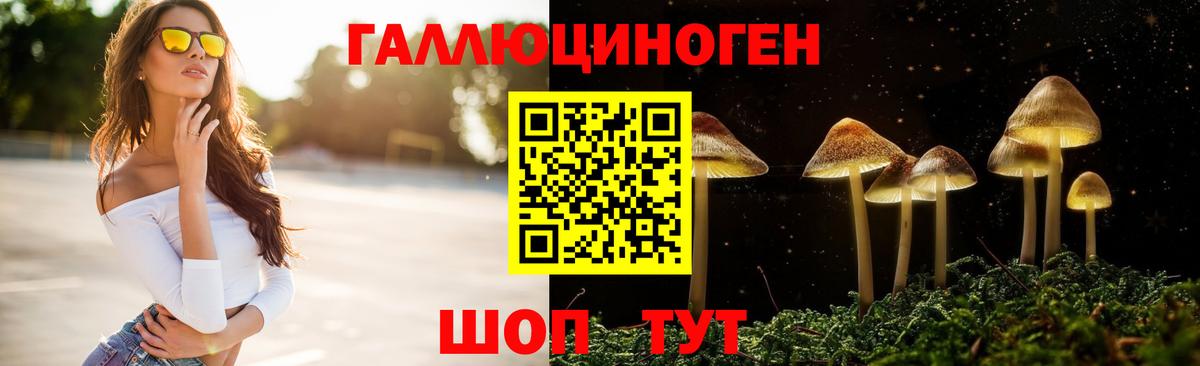 закладки  Псилоцибиновые грибы Cubensis  Вход с VPN  Галлюциногенные грибы мухоморы  Асино 
